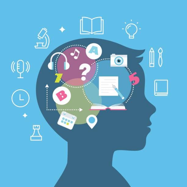 Why Your Child’s Learning Styles Matter in the 11+